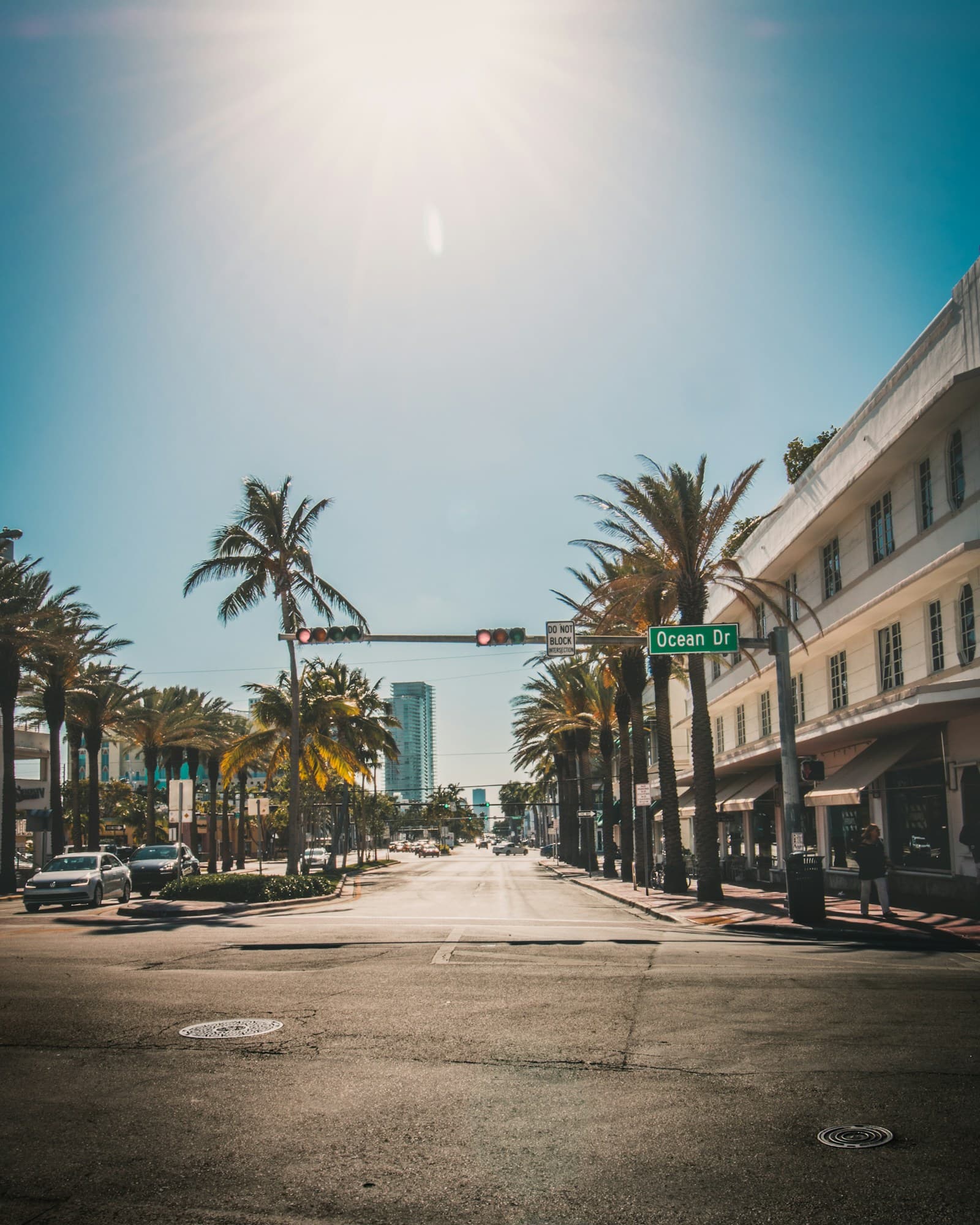 Traffic light beside palm tree, South Beach
