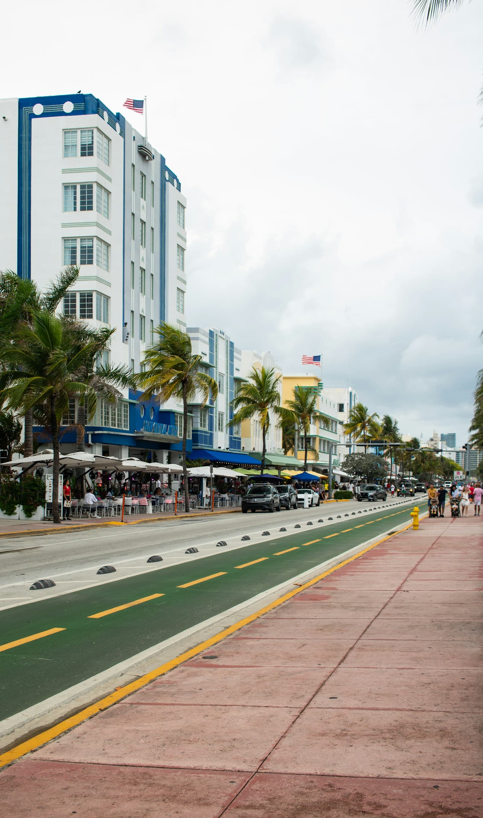 Palm-lined Collins Avenue, Miami Beach